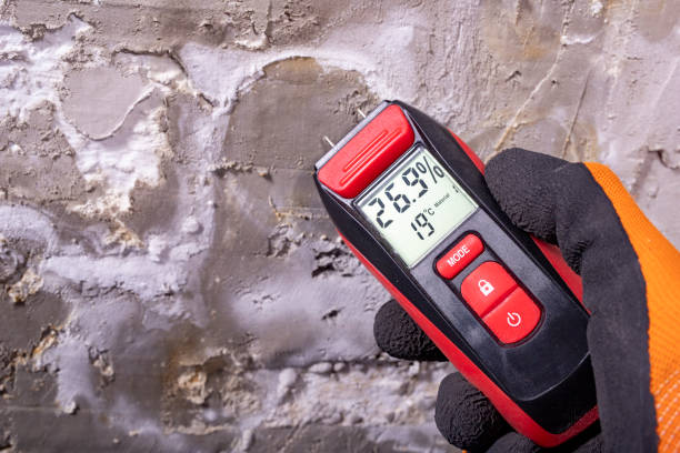 Best Local Mold Removal Service  in Edinburg, IL