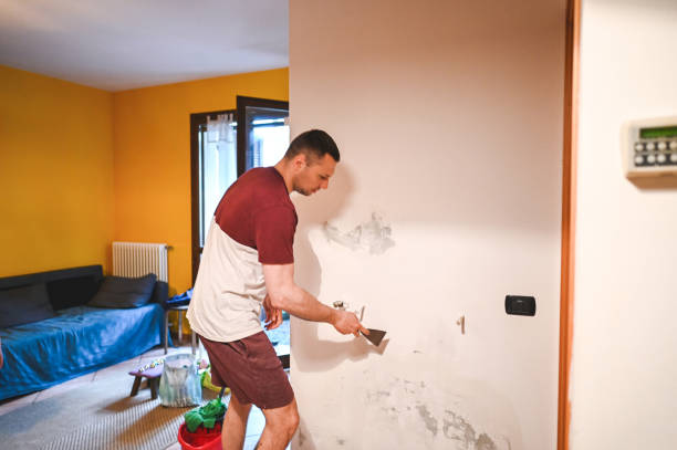 Best Affordable Mold Removal  in Edinburg, IL